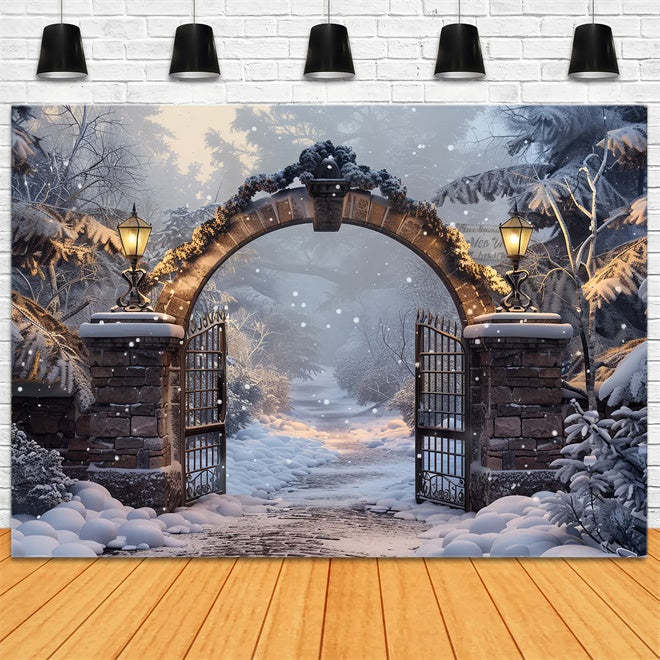 Sfondo Del Gateway Della Foresta Invernale Di Natale BRP8-60