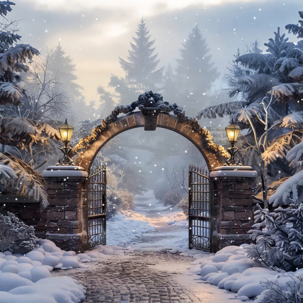 Sfondo Del Gateway Della Foresta Invernale Di Natale BRP8-60
