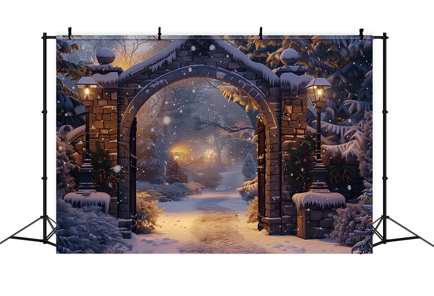 Sfondo Dell'Arco Del Sentiero Innevato Sereno Di Natale BRP8-61