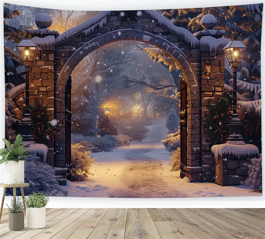 Sfondo Dell'Arco Del Sentiero Innevato Sereno Di Natale BRP8-61