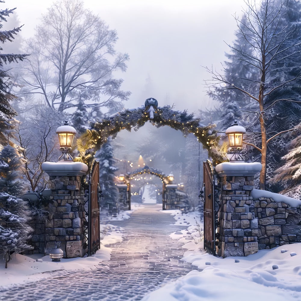 Sfondo Del Percorso Dell'Arco In Pietra Della Notte Invernale Di Natale BRP8-62
