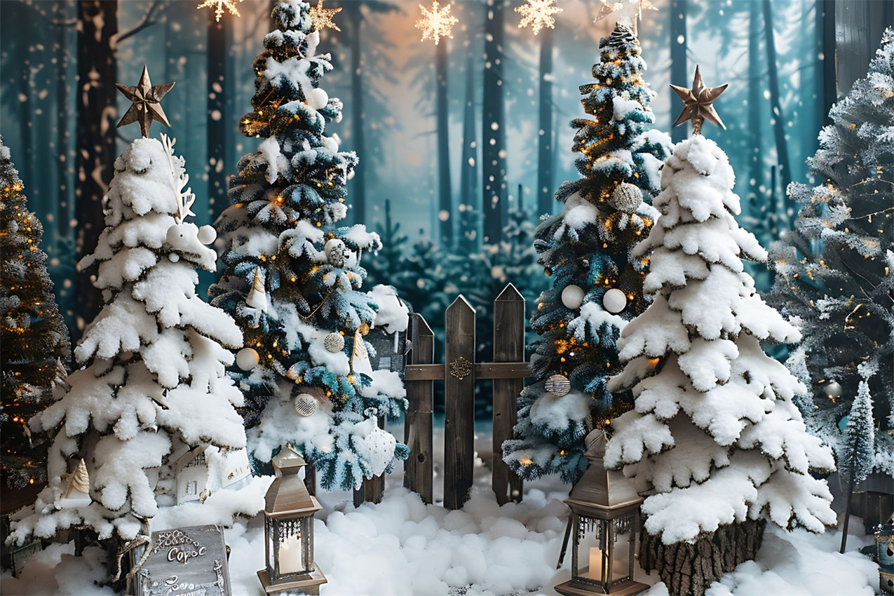 Sfondo Di Pini Innevati Illuminati Da Stelle Di Natale BRP8-96