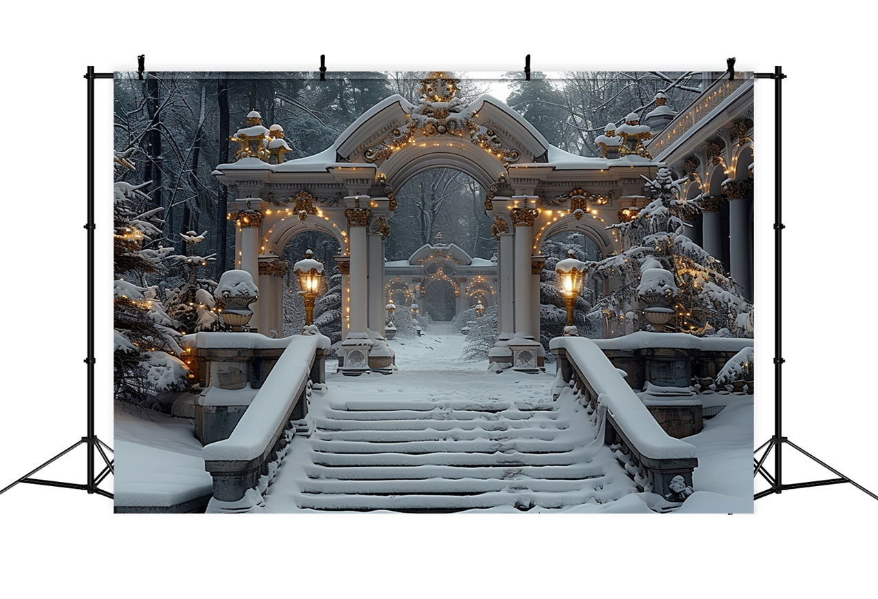Archi Del Paese Delle Meraviglie Invernali Con Sfondo Di Luci Di Natale BRP9-113