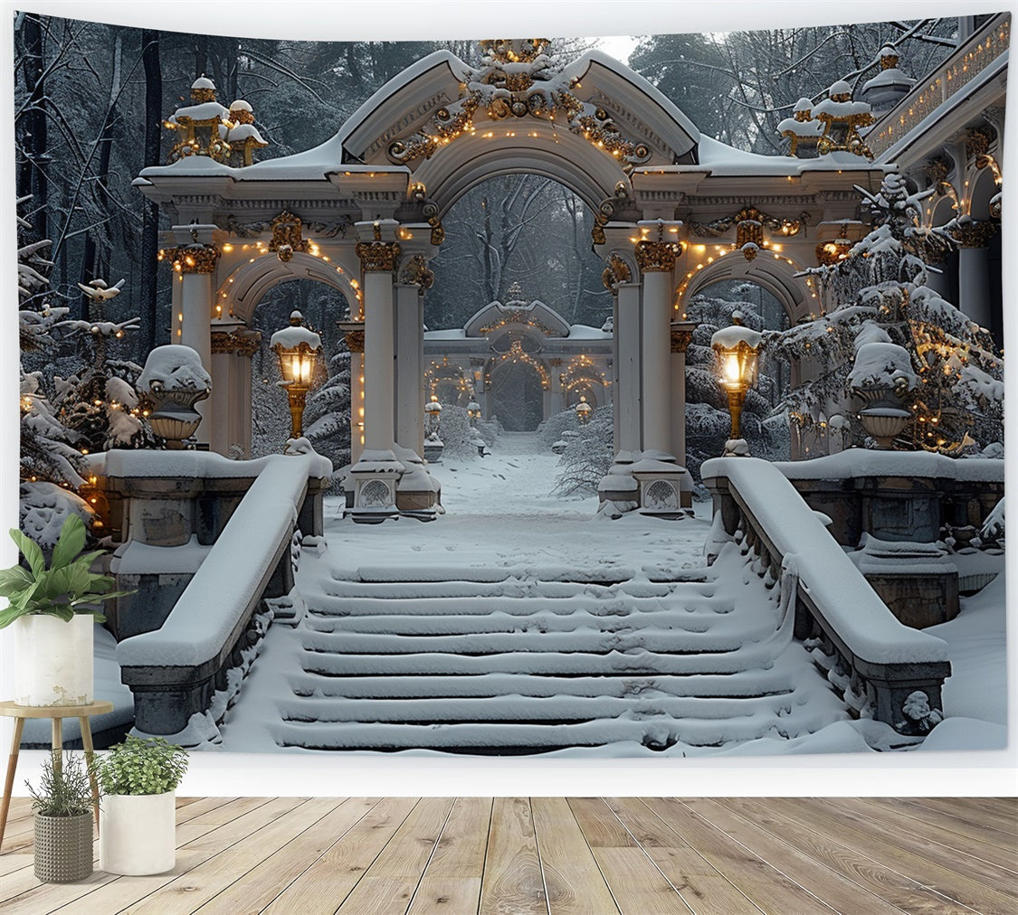 Archi Del Paese Delle Meraviglie Invernali Con Sfondo Di Luci Di Natale BRP9-113