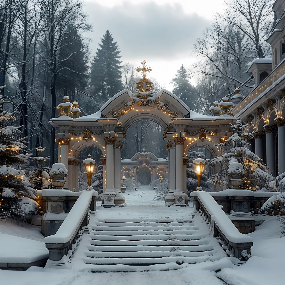 Archi Del Paese Delle Meraviglie Invernali Con Sfondo Di Luci Di Natale BRP9-113