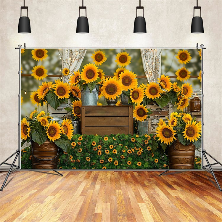 Cassa Di Legno Rustica Sfondo Vibrante Di Girasole Autunnale BRP9-128