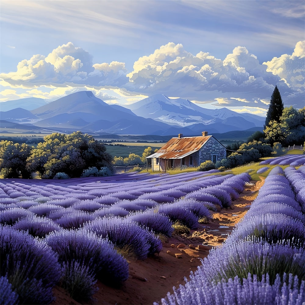 Campi Di Lavanda Viola Che Circondano Lo Sfondo Rustico Della Fattoria BRP9-154