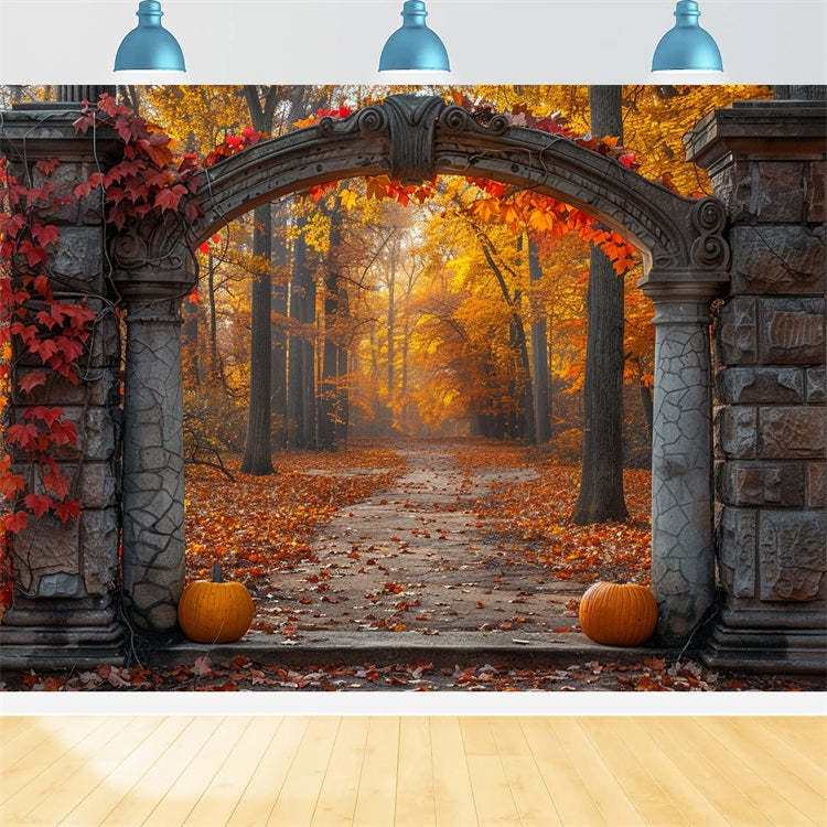 Sfondo Mistico Del Fogliame Dorato Dell'Arco Autunnale BRP9-207