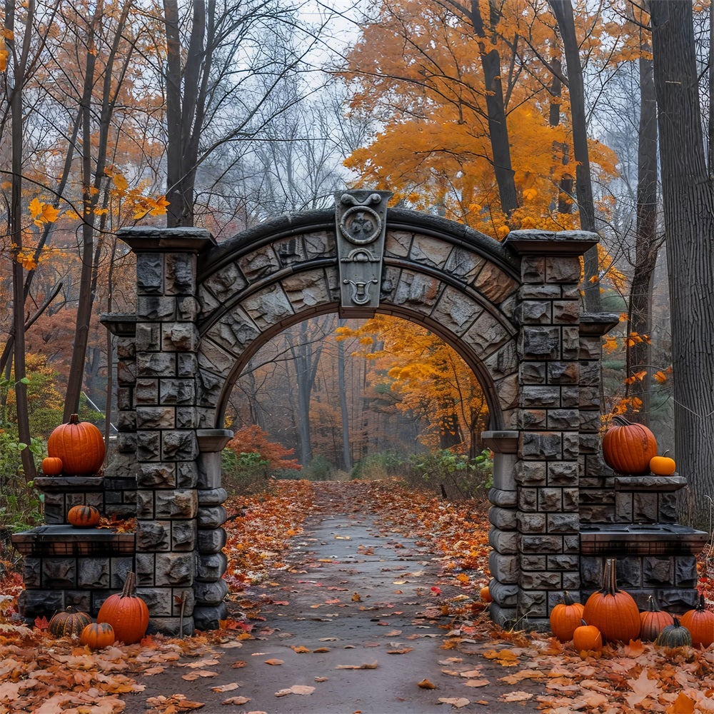 Sfondo Della Scena Autunnale Della Zucca Con Arco In Pietra Antica BRP9-209