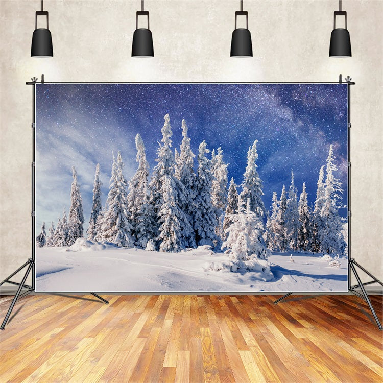 Pini Innevati Invernali Sotto Lo Sfondo Della Via Lattea BRP9-216