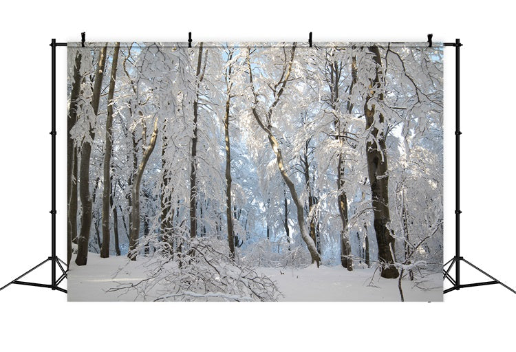 Sfondo Fotografico Winter Snowy Forest Wonderland BRP9-220