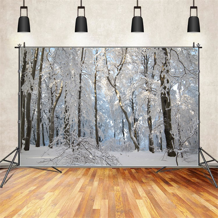 Sfondo Fotografico Winter Snowy Forest Wonderland BRP9-220