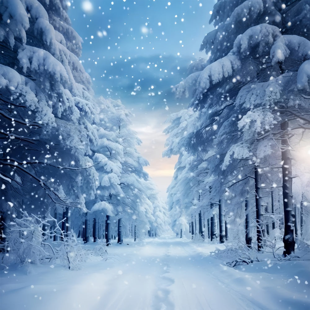 Passeggiata Invernale Attraverso Il Sentiero Nel Bosco Innevato Sullo Sfondo BRP9-221