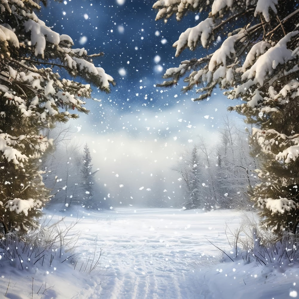 Sfondo Invernale Di Neve Ricoperta Di Pineta BRP9-223