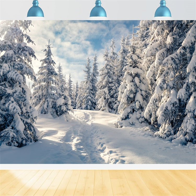 Alberi Gelidi Invernali Sullo Sfondo Del Cielo AzzuRRo Chiaro BRP9-229