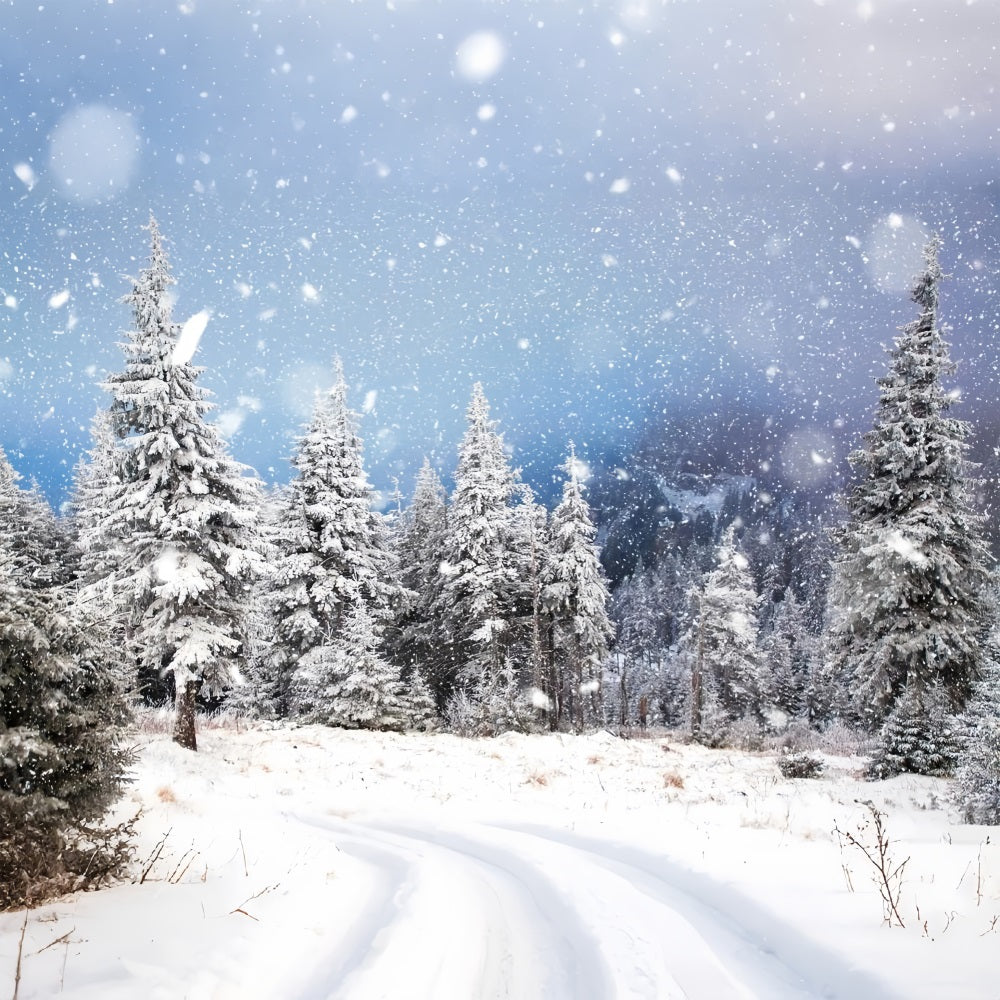 Sfondo Fotografico Nevicata Invernale Pineta BRP9-230