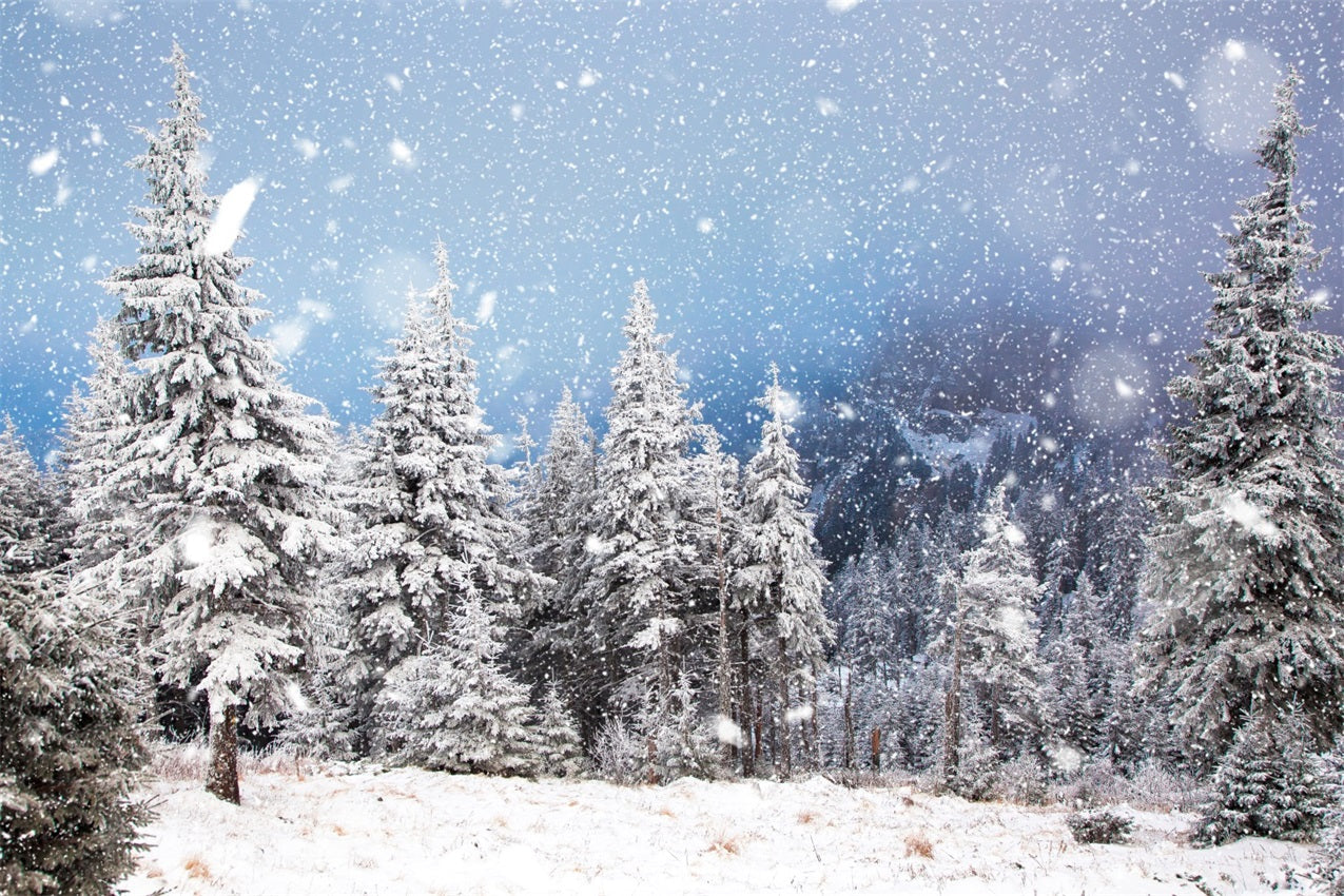 Sfondo Fotografico Nevicata Invernale Pineta BRP9-230