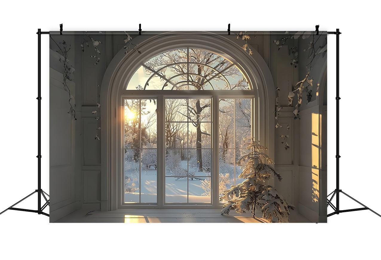 Sfondo Della Scena Della Finestra Dell'Alba Degli Alberi Di Neve Invernale BRP9-236