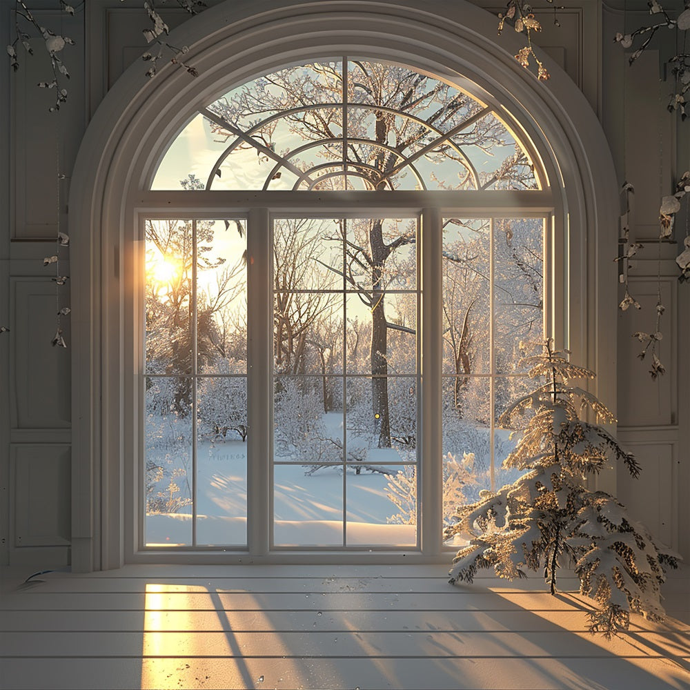 Sfondo Della Scena Della Finestra Dell'Alba Degli Alberi Di Neve Invernale BRP9-236