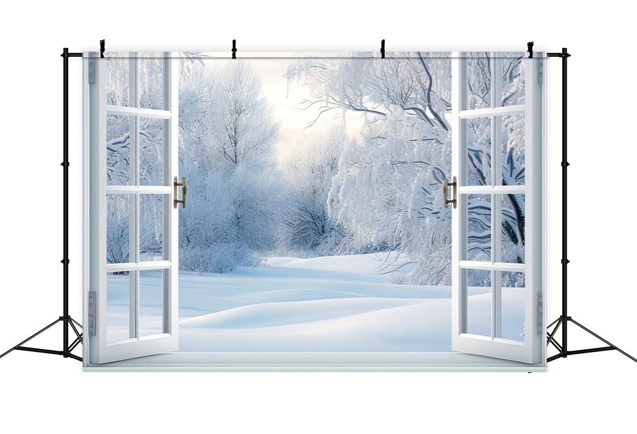 Sfondo Della Finestra Invernale Con Scena Innevata Di Rami Smerigliati BRP9-295