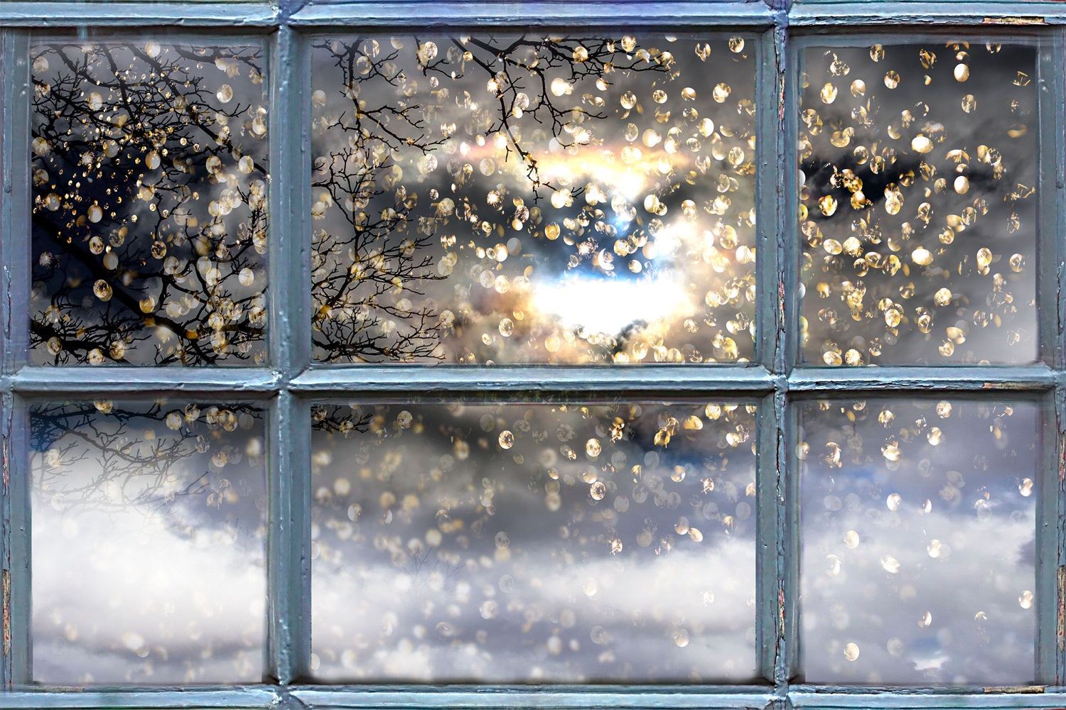 Scintillanti Rami Invernali Attraverso Lo Sfondo Della Finestra BRP9-301