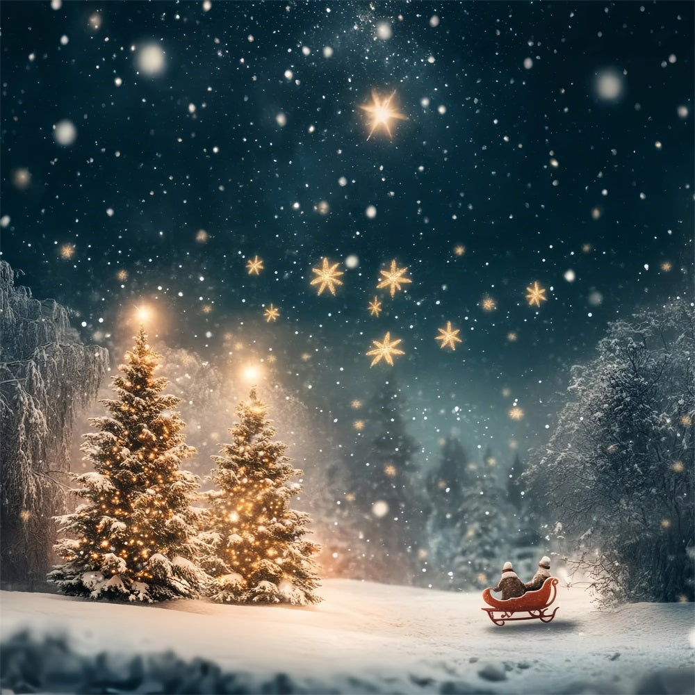 Alberi Forestali Illuminati Sotto Lo Sfondo Del Cielo Innevato BRP9-306