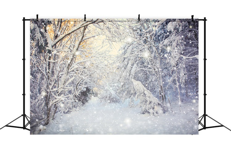 Sfondo Scena Nevicata Forestale Invernale Scintillante BRP9-318