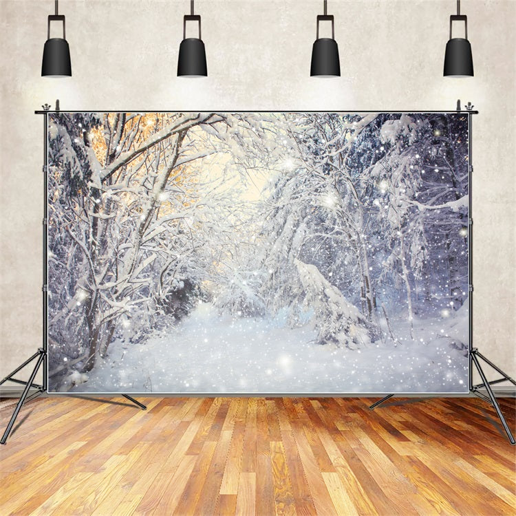 Sfondo Scena Nevicata Forestale Invernale Scintillante BRP9-318