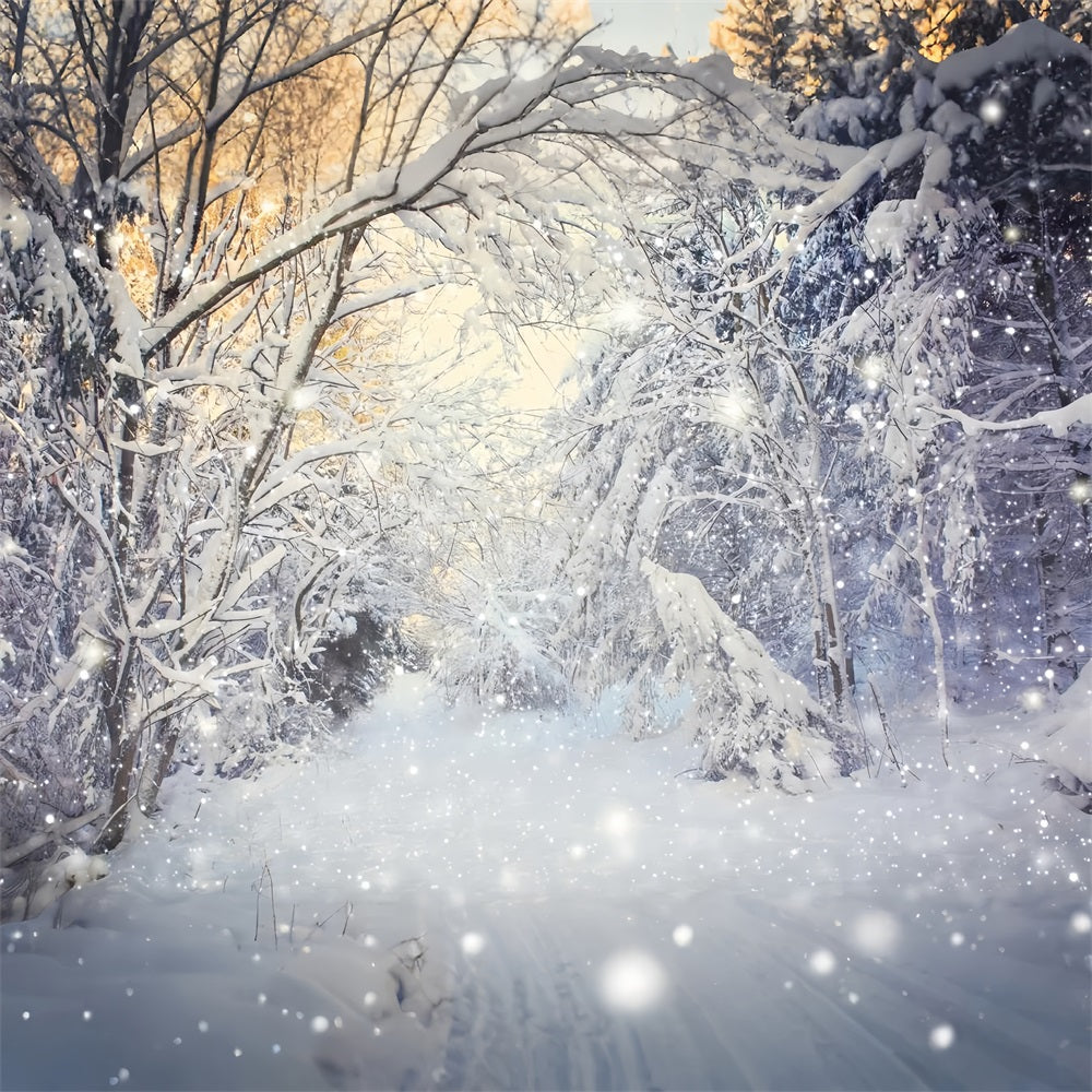 Sfondo Scena Nevicata Forestale Invernale Scintillante BRP9-318