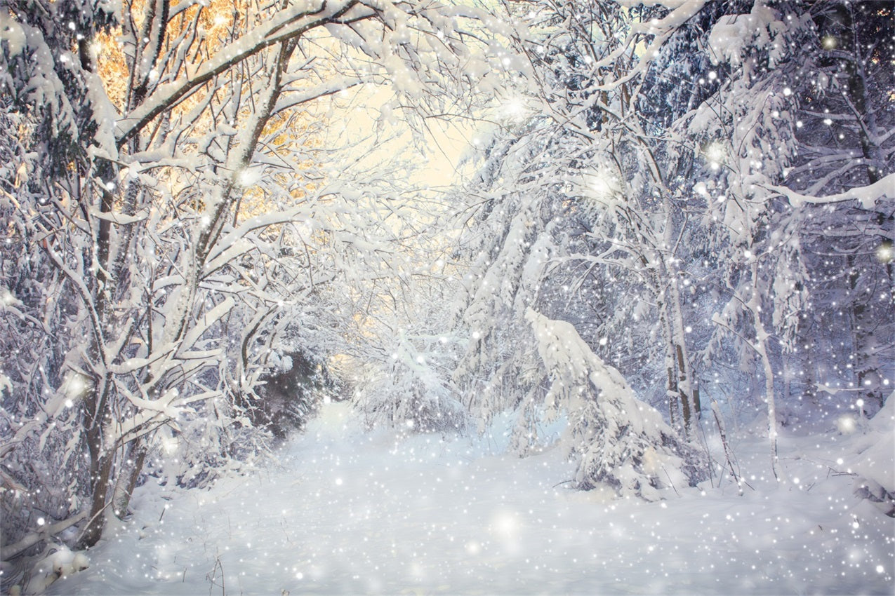 Sfondo Scena Nevicata Forestale Invernale Scintillante BRP9-318