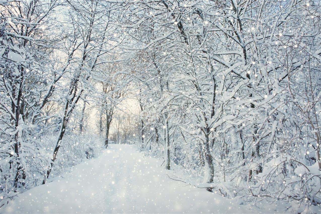 Magica Foresta Invernale Che Cade Sullo Sfondo Della Neve BRP9-319