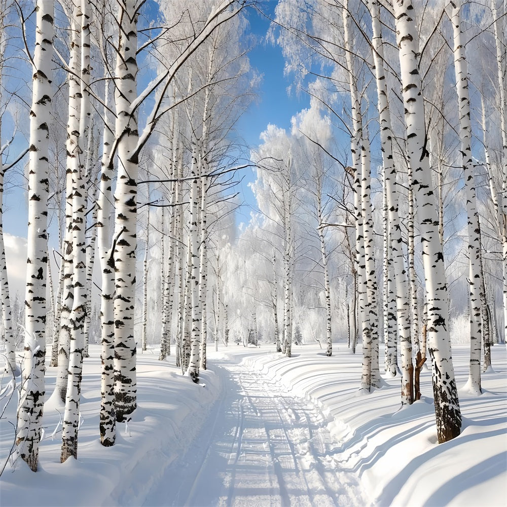 Sentiero Innevato Attraverso Lo Sfondo Della Foresta Invernale BRP9-321