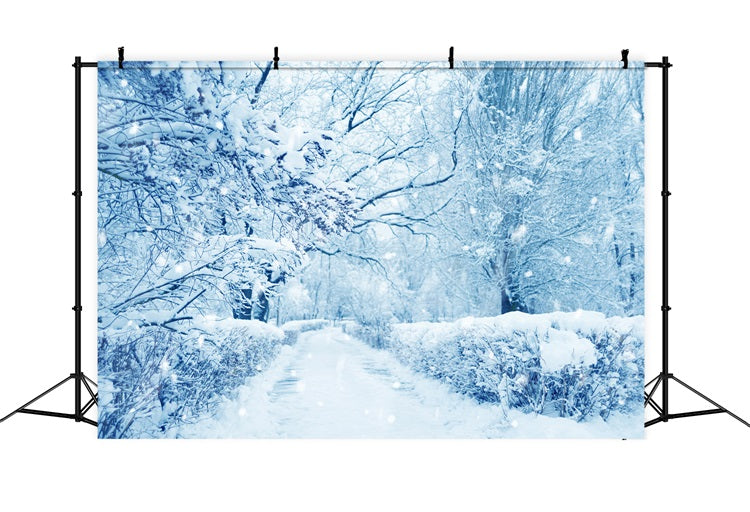 Sfondo Del Paese Delle Meraviglie Invernale Della Foresta Ghiacciata Di Alberi Innevati BRP9-354