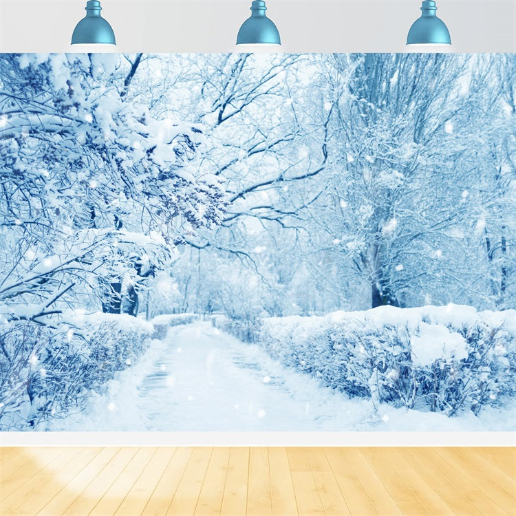 Sfondo Del Paese Delle Meraviglie Invernale Della Foresta Ghiacciata Di Alberi Innevati BRP9-354