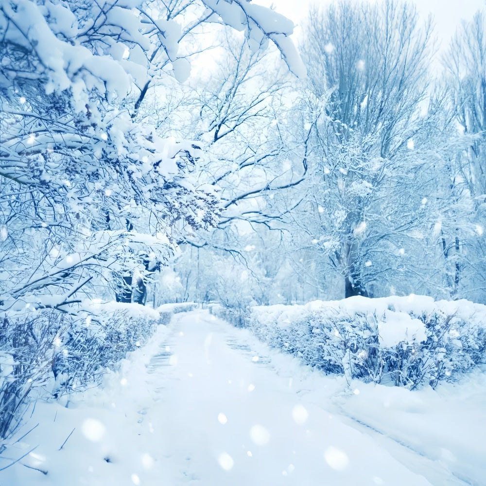 Sfondo Del Paese Delle Meraviglie Invernale Della Foresta Ghiacciata Di Alberi Innevati BRP9-354