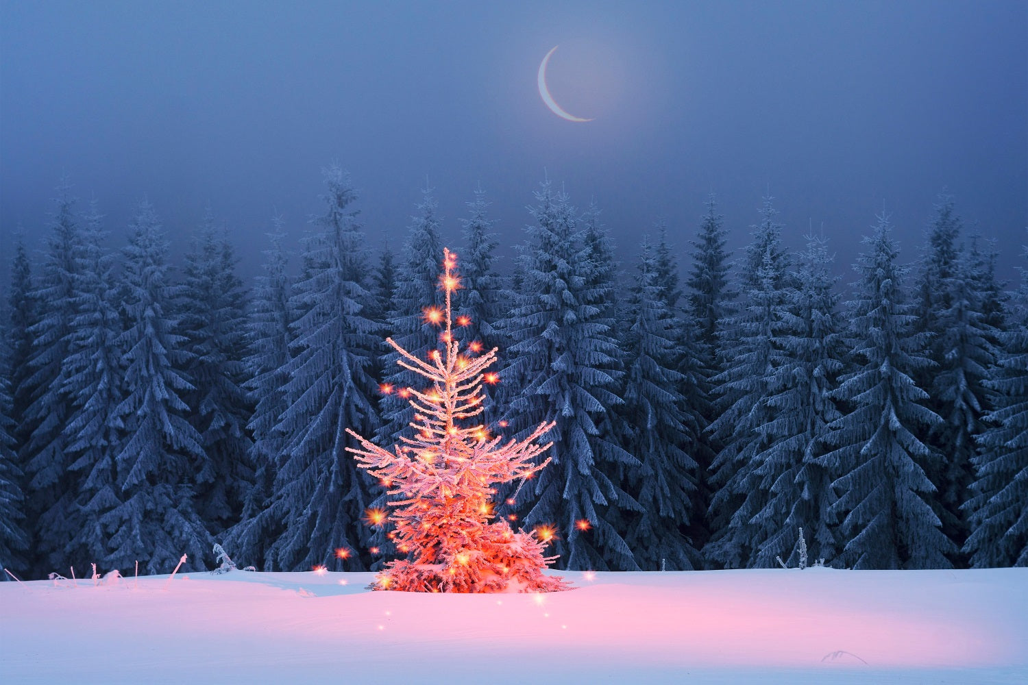 Sfondo Scintillante Dell'Albero Di Natale Al Chiaro Di Luna Invernale BRP9-365