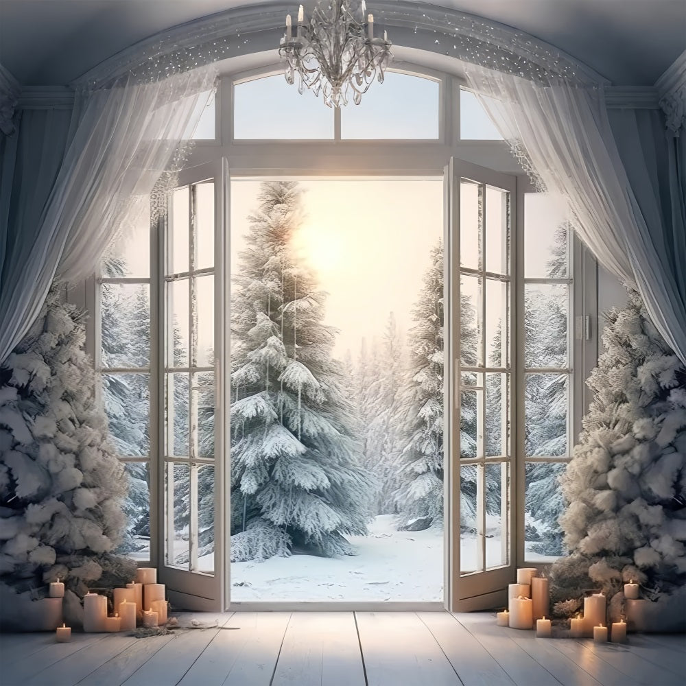 Elegante Finestra Smerigliata Che Apre Lo Sfondo Della Foresta Invernale BRP9-375