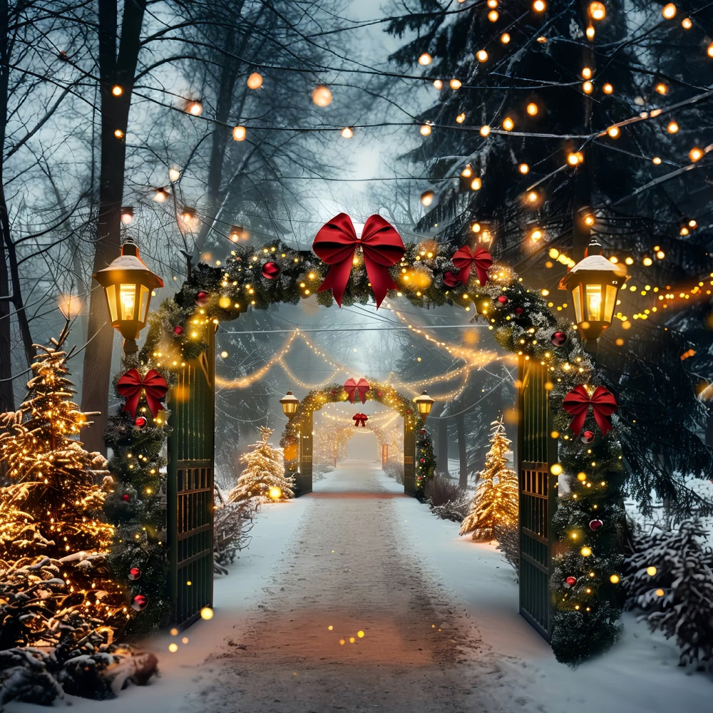 Arco Di Natale Innevato Con Sfondo Di Luci Festive BRP9-84
