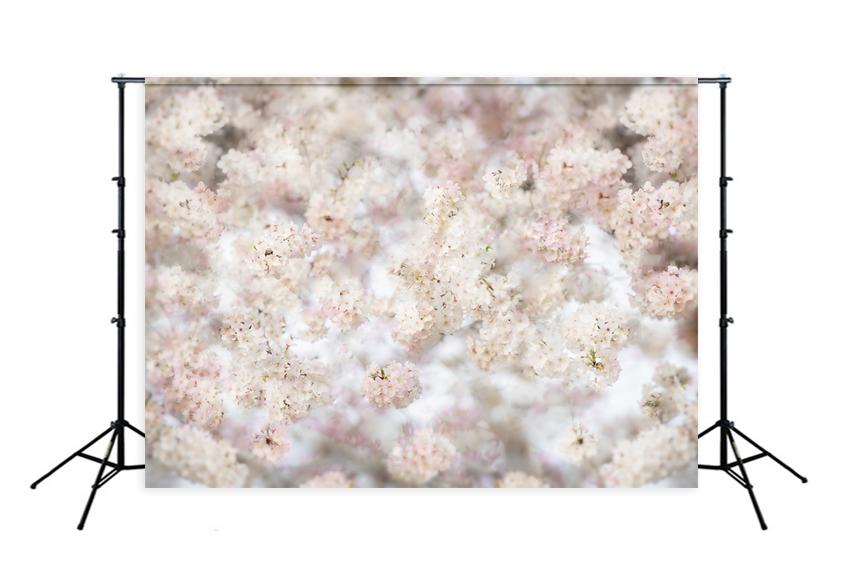 Sfondo Fotografico Con Fiori Primaverili Bianchi E Rosa Disegnato Da Beth Hrachovina