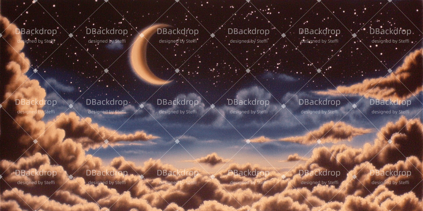Fondali Professionali Per Palcoscenico Fondali Per Cinema Con Notte Di Luna CSH511-T5