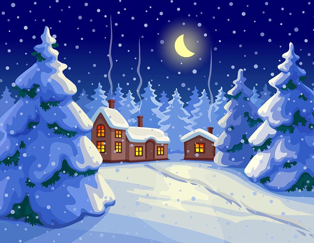 Cartoon Night Xmas Tree Snow Backdrop for Photography DBD-19406