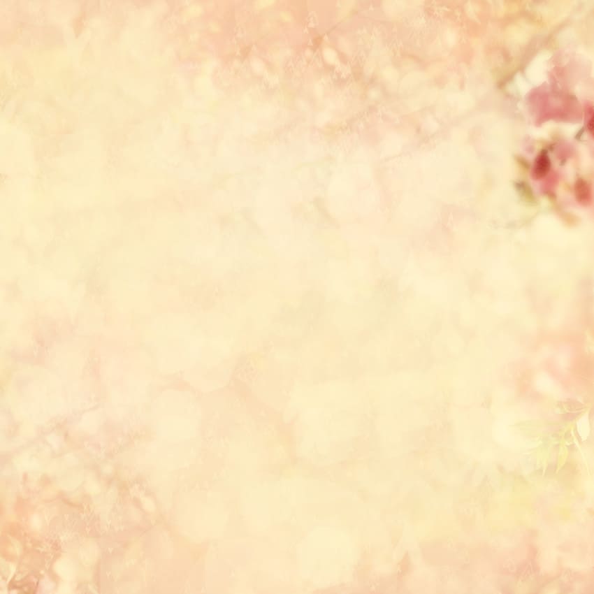 Sfondo Floreale Astratto Sfocato Per La Fotografia D1024