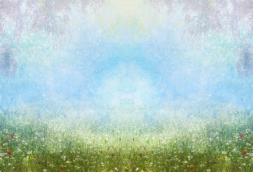 Sfondo Fotografico Primaverile Di Fiori Selvatici D1065