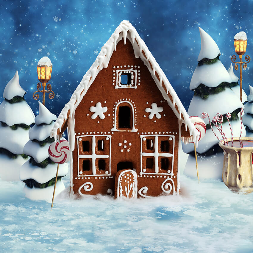 Christmas Mud House Snow Backdrop for Photography UK