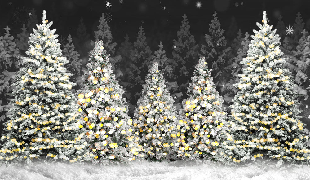 Sfondo Fotografico Con Neve Nella Foresta Notturna Di Natale D893