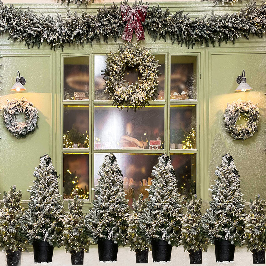 Sfondo Fotografico Del Negozio Di Alberi Di Natale D917
