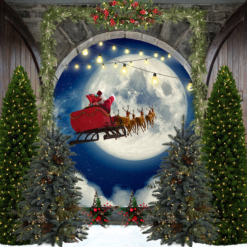 Babbo Natale Alce Luna Sfondo Natalizio D963