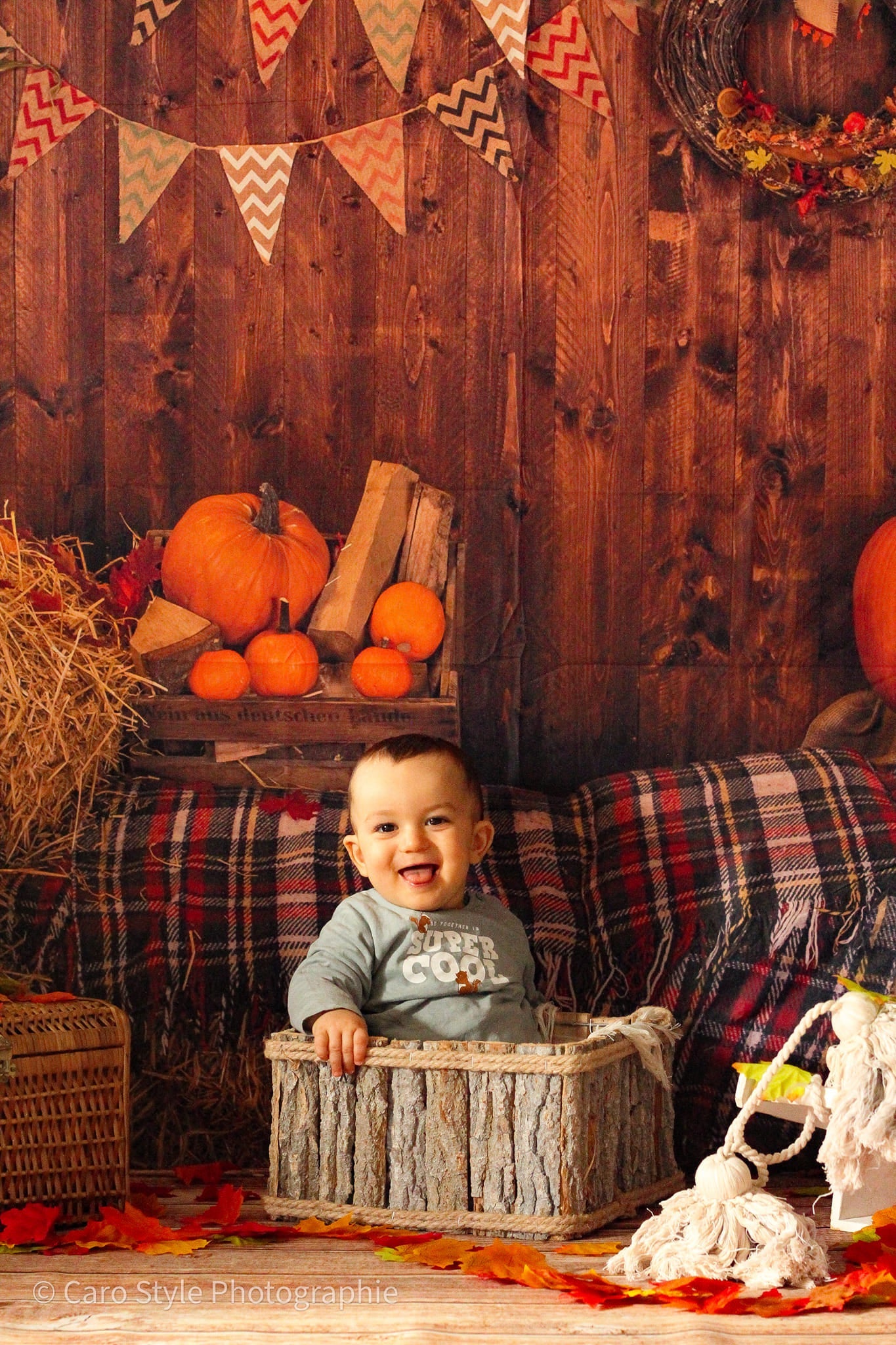 Fall Farm Pumpkin Straw Wood Per Immagini DBD-H19037