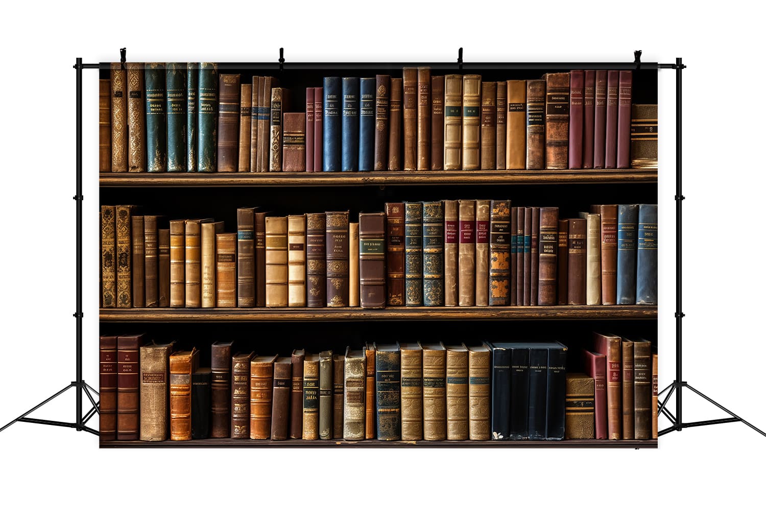 Libri Sullo Scaffale Della Biblioteca Sfondo Del Ritorno A Scuola DBD7-24