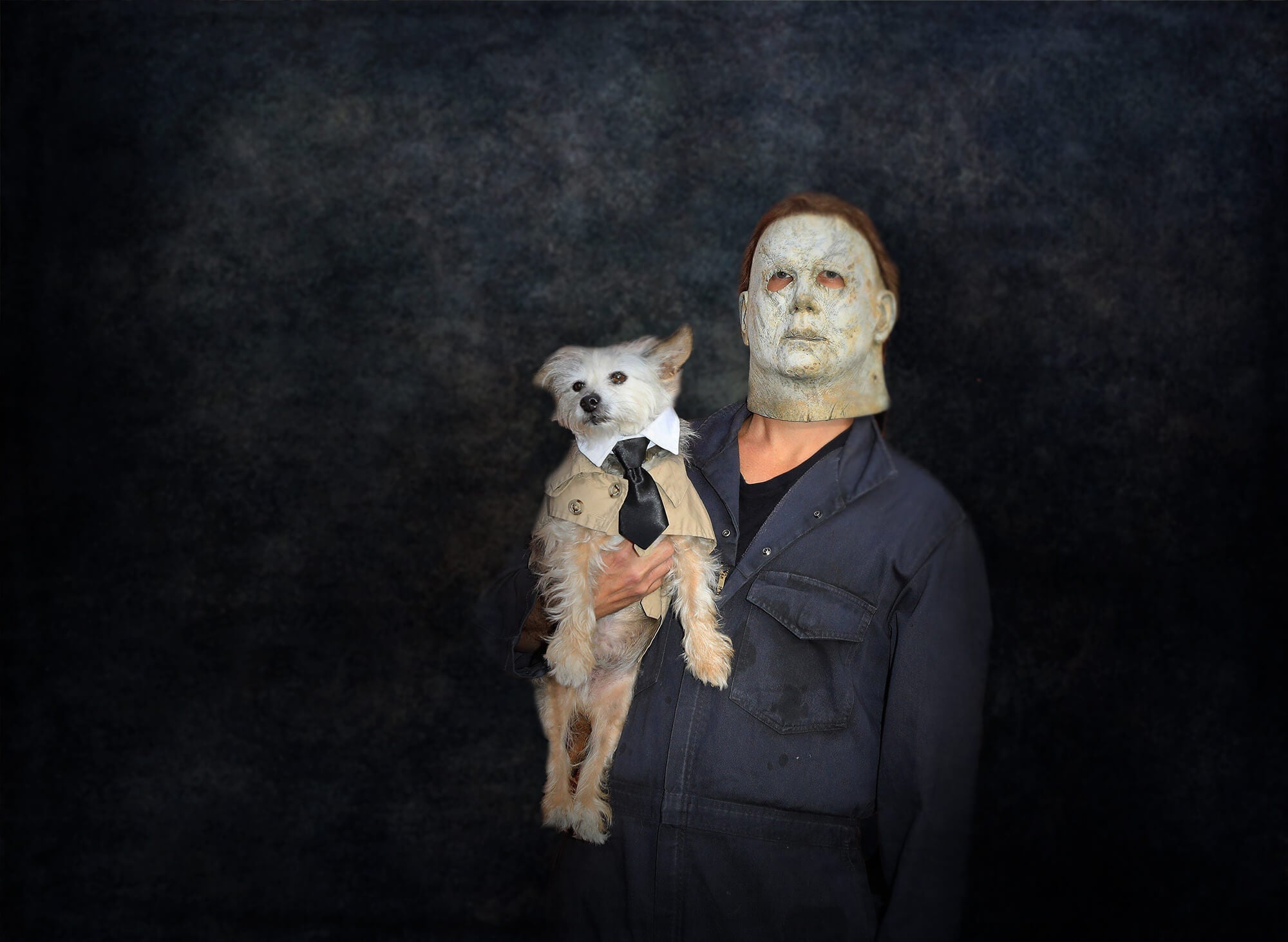 Sfondo Punteggiato Di Texture Astratta Nera Dipinta Ad Arte Per La Fotografia Di Ritratto DHP-703